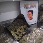 Galactic Berry 23 Dutt Pack Weed - White Bag