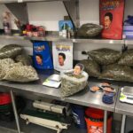 Dutt Pack Weed Bulk/Wholesale